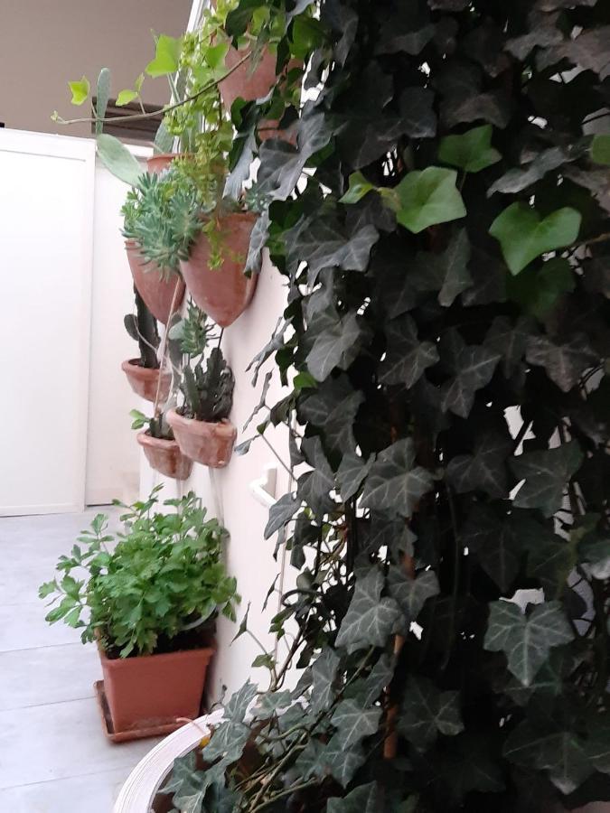 Bed and Breakfast Litium 3 Lecce Exteriér fotografie